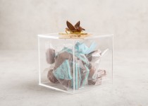 Girgeaan bird transparent box-Blue G39
