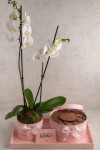 Baby girl CHOCOLATE TRAY WITH ORCHID FLOWER