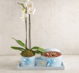 Blue CHOCOLATE TRAY WITH ORCHID FLOWER-RG246