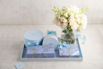 Blue gift tray package-large