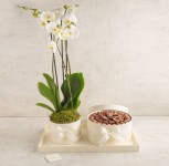 white chocolate tray with orchid flower-RG244