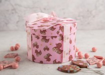 Small pink duck box (2 boxes)