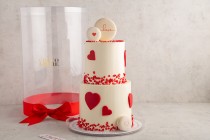 Valentine's cake 2 layers-L5