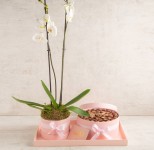 Pink chocolate tray with orchid flower-RG245