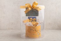 bird gift package- small
